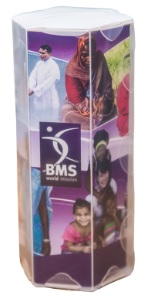 BMS money box